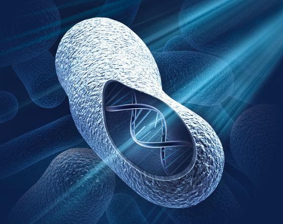 Ultraviolet Light for Disinfection