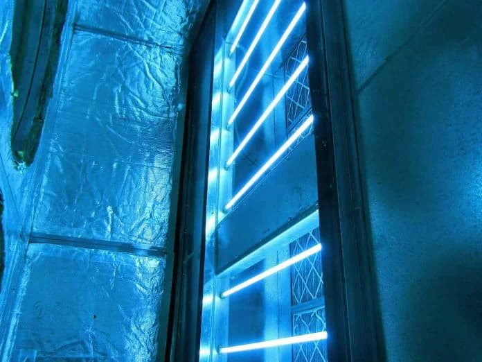 Killing Bacteria with UV Light: Does UV Light Kill Mold and Bacteria