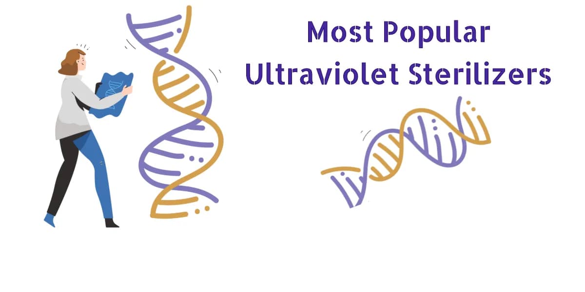 Overview of UV Sterilizers: UV sterilizers that are popular for keeping gadgets germ-free